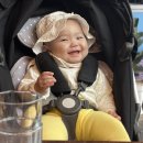 제주파도소리 이미지