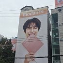 K-STAY | 성수동팝업 바이오던스 GLOW STAY 솔직 후기