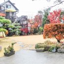 남이섬 하늘사랑 이미지