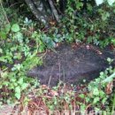 성읍2리 이미지