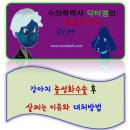 [닥터엠]중성화수술 후 살찌는 이유와 대처방법 이미지