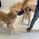 멍스 스쿨 이미지