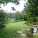 언덕위 작은집 이미지