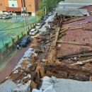 사파동160 이미지