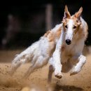 로드짐 군산점 이미지