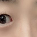 정성아이래쉬 네이버블로그