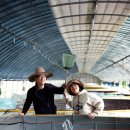 임채성농장 이미지