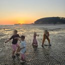 청솔 | 바닷가 1열 [몽산포 청솔 캠핑장] 후기