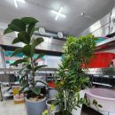 누룽지신 이미지