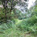 목내로1 이미지