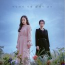 마당말들 이미지