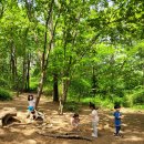 예소담유치원 이미지