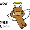 대광한우 이미지