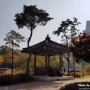 섬진강한의원 이미지