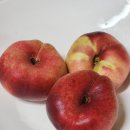 한이농장 | 내돈내산) 한국에서 납작복숭아를...?(feat.한이농장)