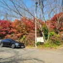 일광보양탕 이미지