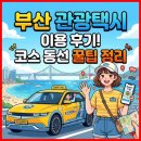 부산바로관광 | 부산관광택시 이용 후기! 부산택시투어 코스 동선 꿀팁 정리