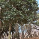 백양산한가족사우나 네이버블로그