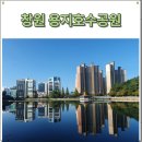 풍화일주도로가로수 | 창원 용지호수공원 주차장 러닝 분수 가로수길 산책하기좋은곳