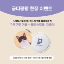제20회 부산 궁디팡팡캣페스타 미리 보는 현장 이벤트!