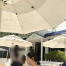 더노아하우스 이미지