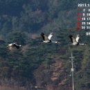 고니PC 이미지