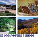 일진태권도장 이미지