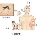 [모기등 해충 퇴치 산야초] 이미지