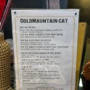 황금산 고양이 이미지