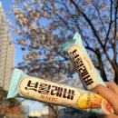 아이스크림할인점더쿨칠서 | 해태아이스크림 브륄레바 커스터드 크림브륄레 맛 평가