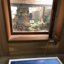 블루 여관 이미지