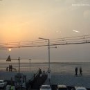 조개포차2호점 | 오이도 조개구이 오션뷰 제철 대방어 맛집 조개포차 2호점 내돈내산 후기