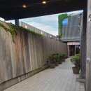 미스터 치킨 본점 | 삿포로 오타루맛집｜혼밥으로 10만원 FLEX🍣 미스터초밥왕의 성지 ‘마사즈시 본점’