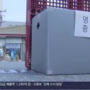 홈플러스 이미지