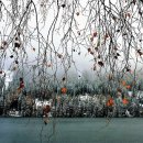 전주기독병원 이미지