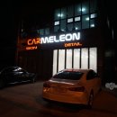 카멜레온 디테일 이미지