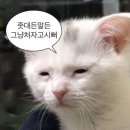히스테릭 키친 | [일본] 3일 전에 해외여행을 확정하는 자매가 있다?! PART 1. (・´з`・)♥