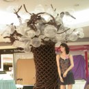 란제리코너 이미지