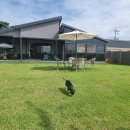 스테이숨 이미지