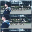 Mrs. GREEN APPLE FJORD 미세스 그린애플 10주년 기념 라이브 피오르드 영화 2주차 후기
