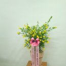 레스피로(RESPIRO) 이미지