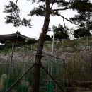 카젠백석점 이미지