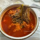 동해메밀촌 | [국내여행] 양양속초 1박 2일｜풍자 또간집 상운메밀촌, 영광정메밀국수, 하조대커피, 카페맴맴, 낙산사