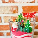 12/2 크리스마스 테라리움 이미지