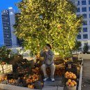 거해농장 이미지