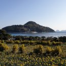 내도마을 이미지