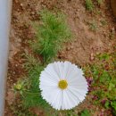우수회원이요~ 이미지