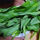 세진민박 이미지