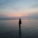 몽산포해넘이 이미지