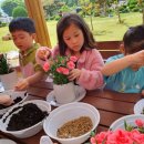 용성초등학교병설유치원 이미지